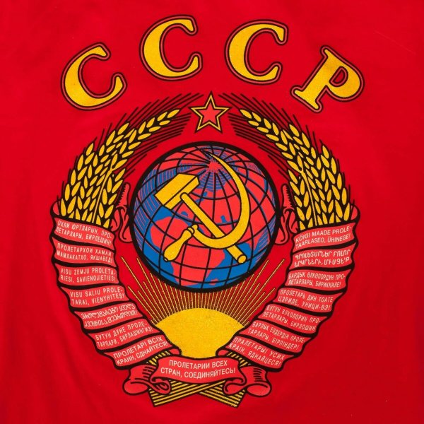 Футболка DDT рожденный в СССР