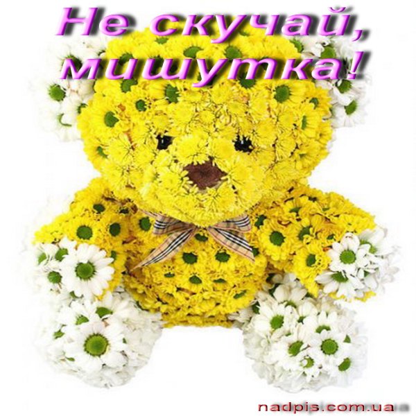 Открытки обнимаю тебя
