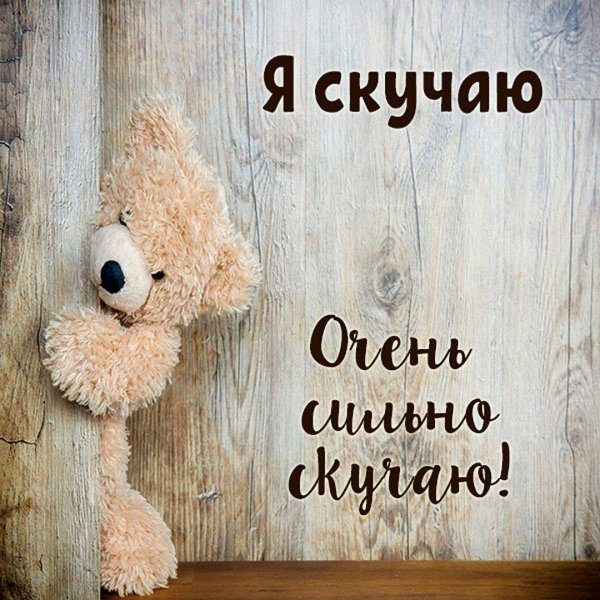 Котенок на желтом фоне