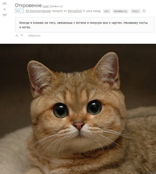 Вадим Пидрила