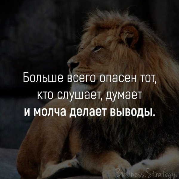 Выводы сделаны цитаты