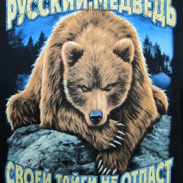 Медведь с плакатом