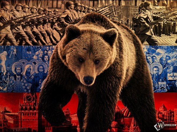 Медведь Гризли