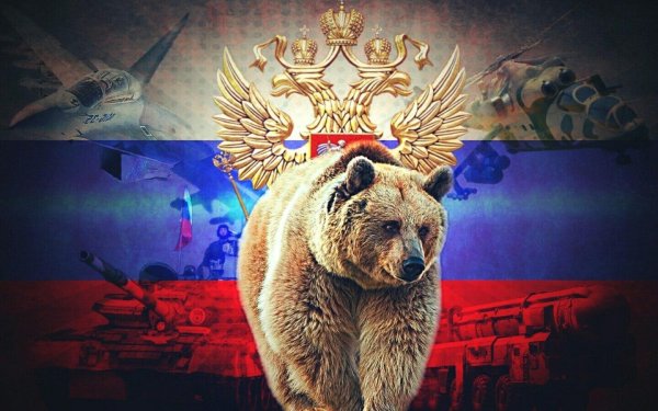 Медведь Россия
