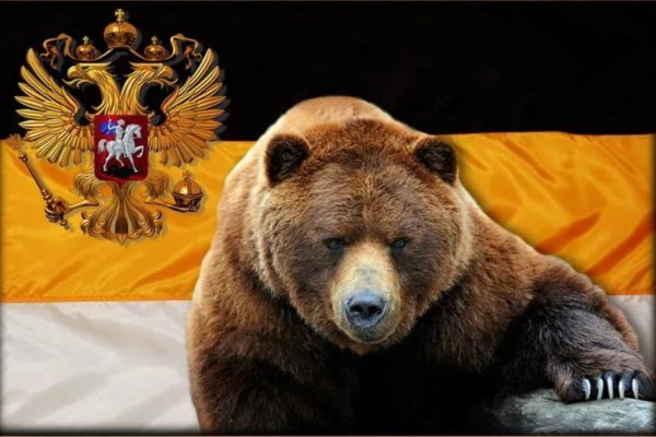 Медведь Россия