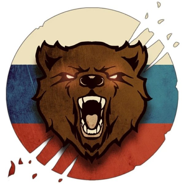 Медведь на фоне флага