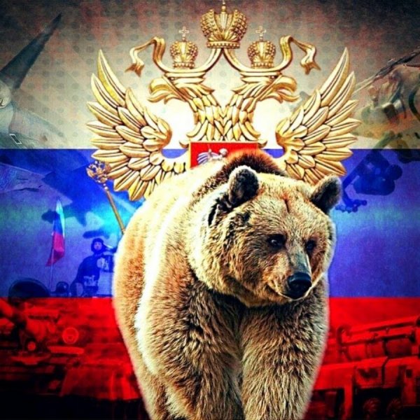 Медведь Триколор