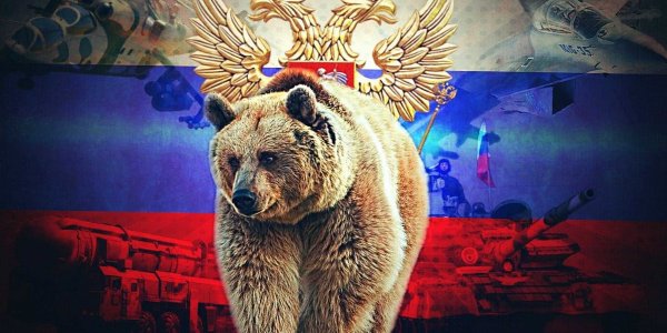 Медведь Россия