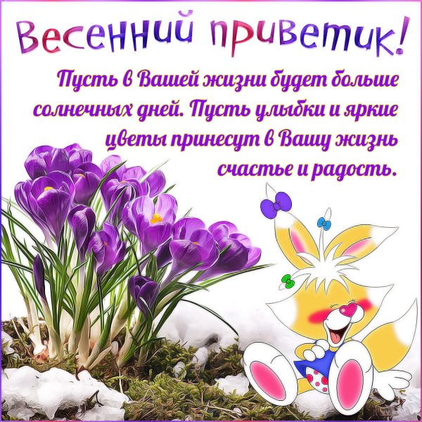 Тебе приветик и весенний букетик
