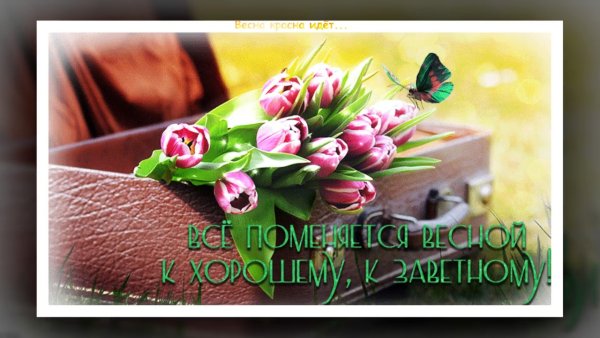Чудесного летнего утра анимация
