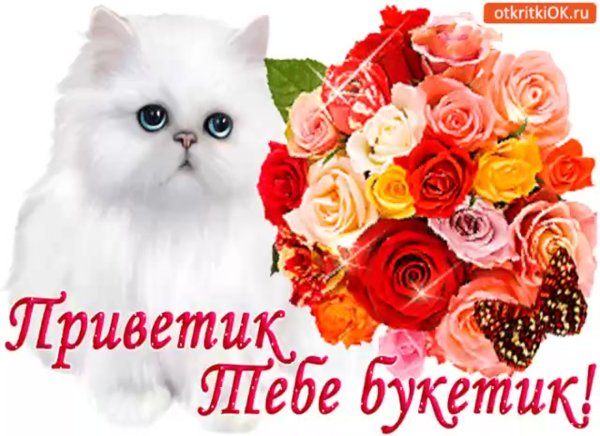Привет открытки красивые