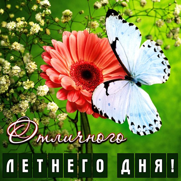 Открытки Веселые и добрые