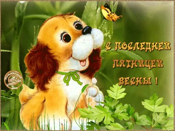Добрый вечер ромашки