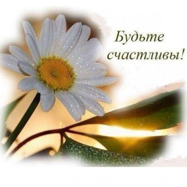 Открытки привет