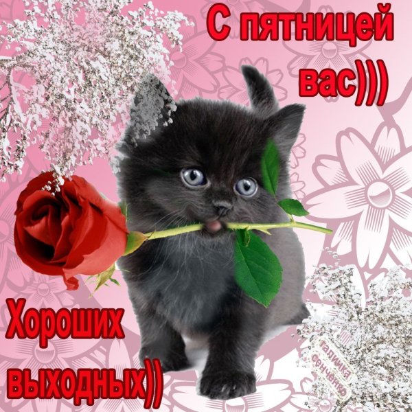 Открытки привет