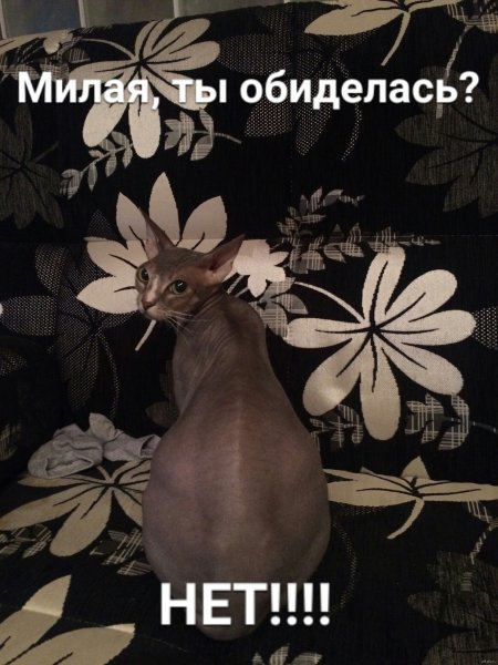 Ты обиделась