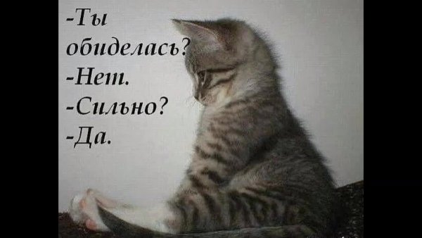 Обиделась нет сильно да картинка