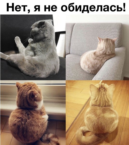 Я не обиделась