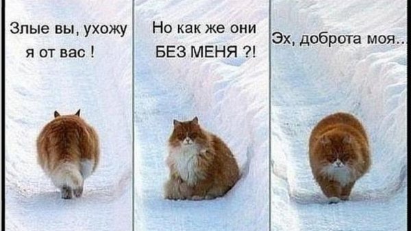 На обиженных кладут