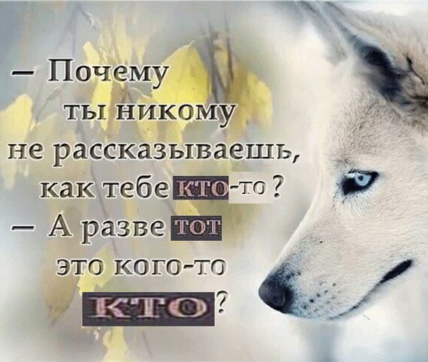 Мне плохо цитаты