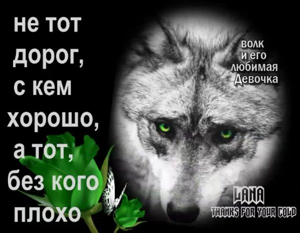 Статус про обиженную женщину