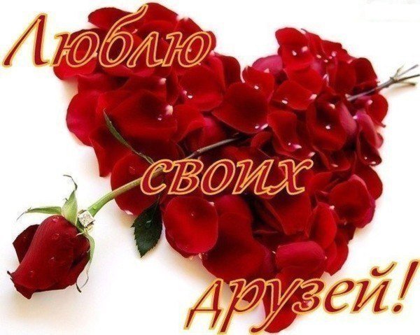 Спасибо Мои милые друзья