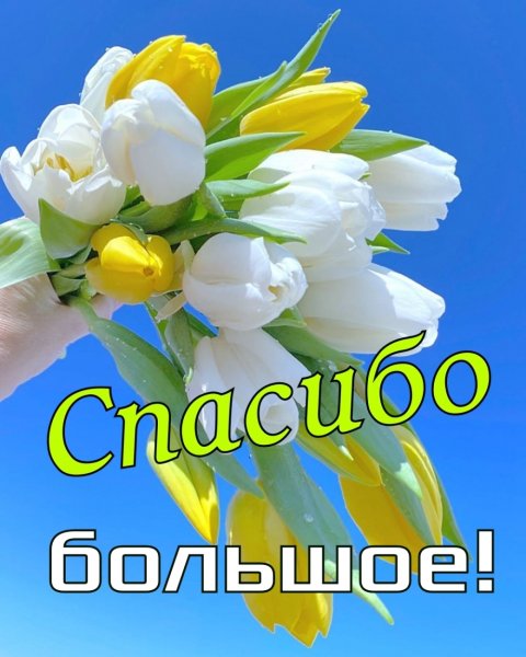 Самые красивые картинки с надпись спасибо суббота