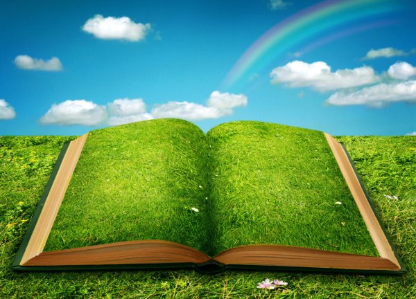 Фон книги