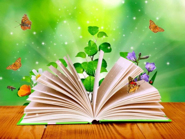 Книги картинки