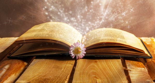 Фон Волшебная книга
