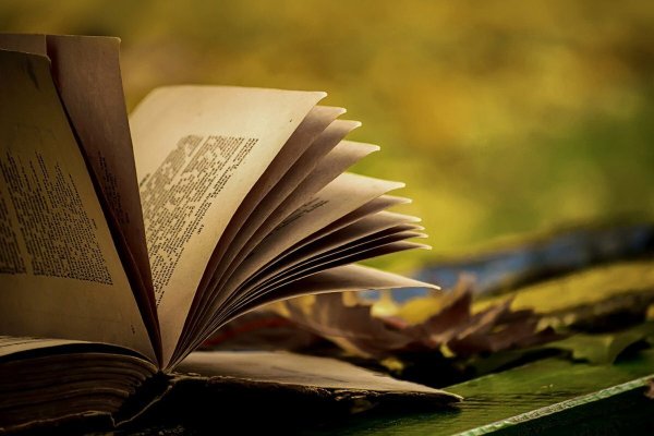 Раскрытые книги