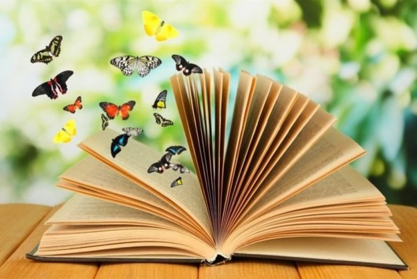 Раскрытая книжка