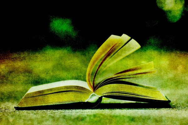 Раскрытая книга красочная
