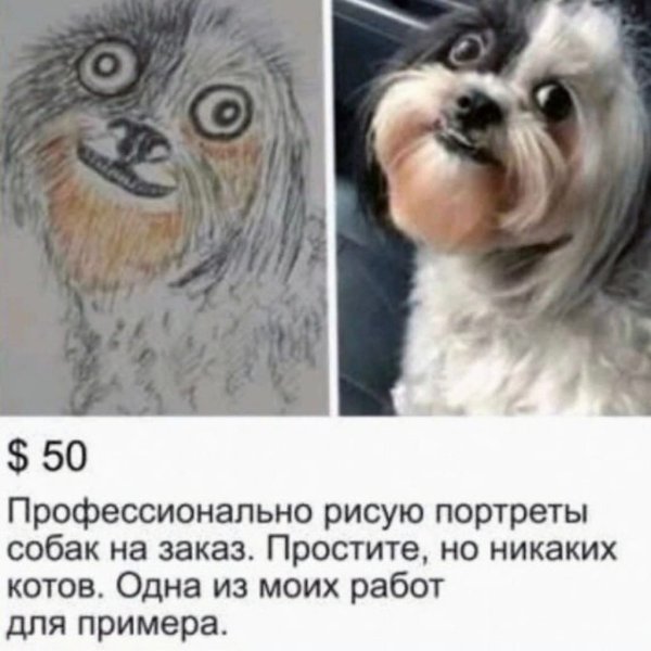 Я художник я так вижу