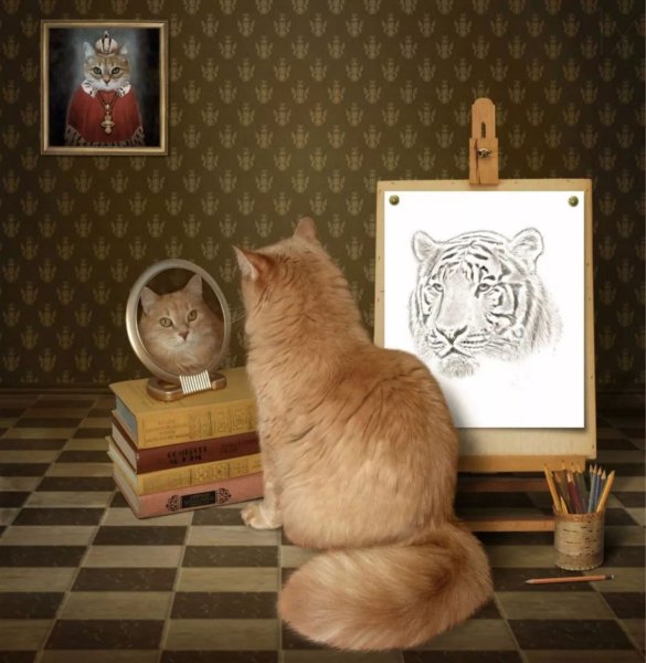 Кошка перед зеркалом
