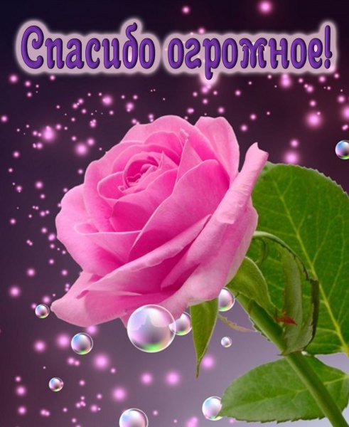 Открытка всем спасибо