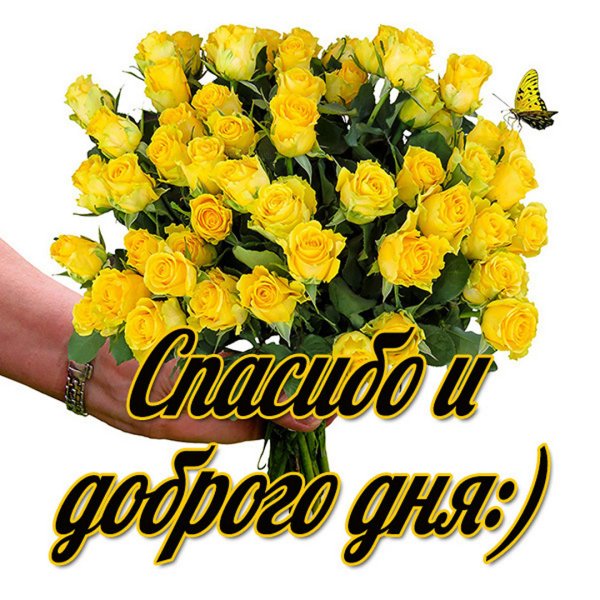 Спасибо большое