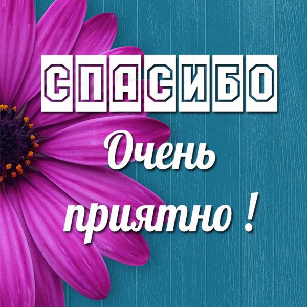 Спасибо большое
