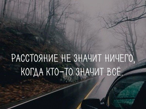 Не жалей
