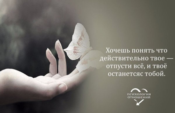 Отпускаю высказывания