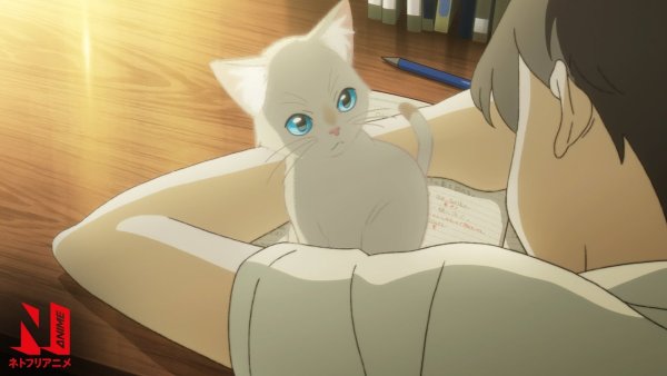 Аниме nakitai Watashi
