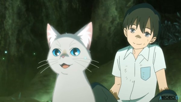 Аниме nakitai Watashi
