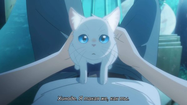 Аниме nakitai Watashi