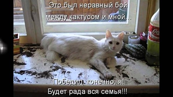 Тварь надпись