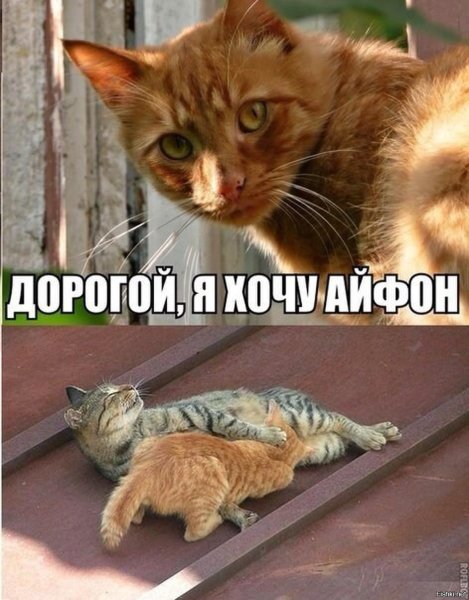 Почему так часто пропадаешь