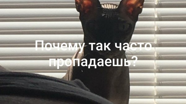 Не понял и не пытайся