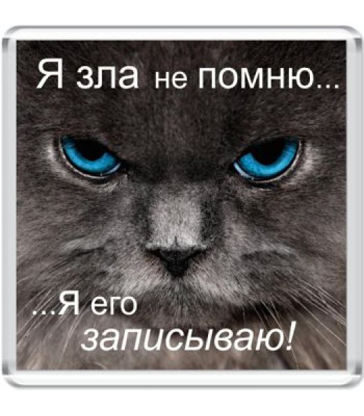 Я зла не помню я его записываю