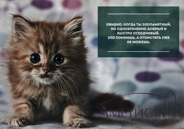 Злой майки