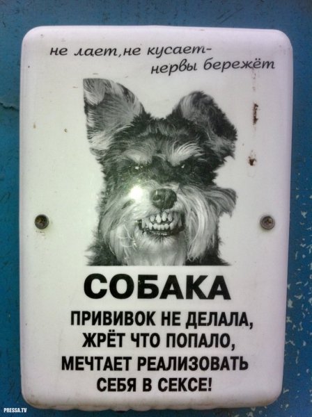 Табличка на дверь злобная