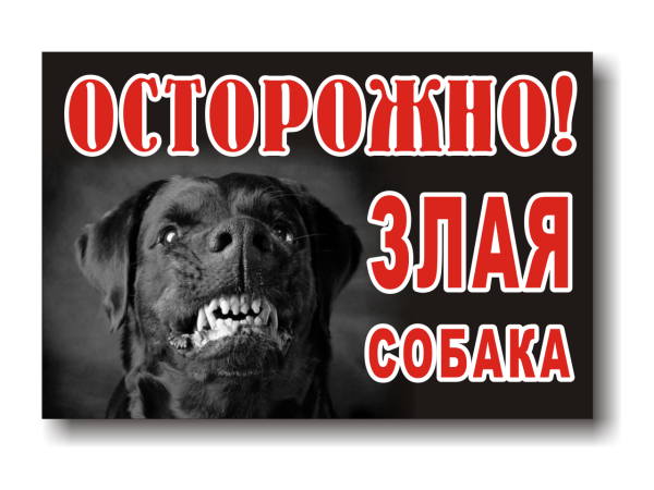 Какое зло я тебе сделал
